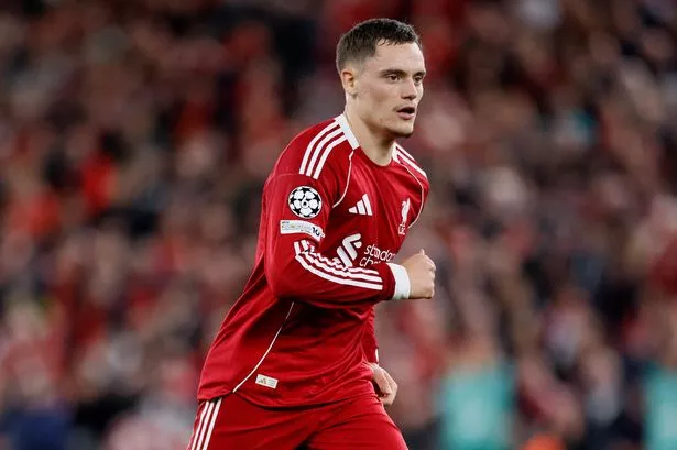 ชาก้าเลือก เวียร์ตซ์ เหนือ พาล์เมอร์